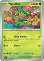 Maractus